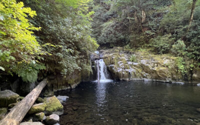 Shinrin-yoku: Sweet Creek Falls